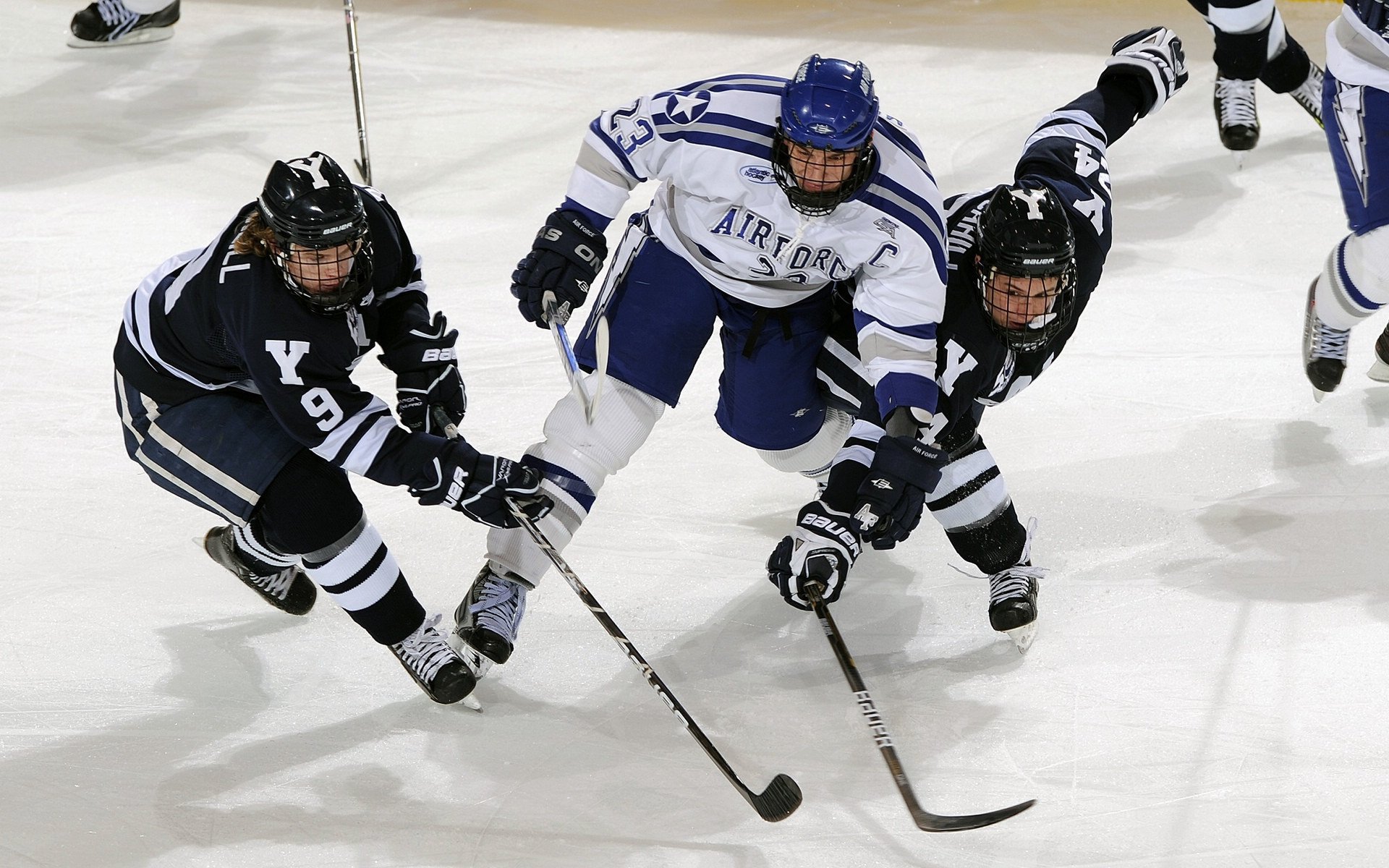 赛道与球场，速度与韧性的双重奏